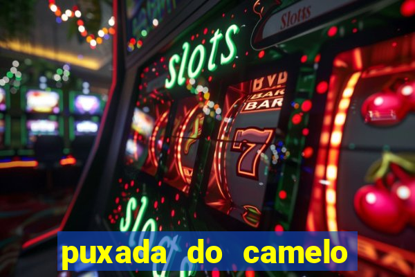 puxada do camelo no jogo do bicho